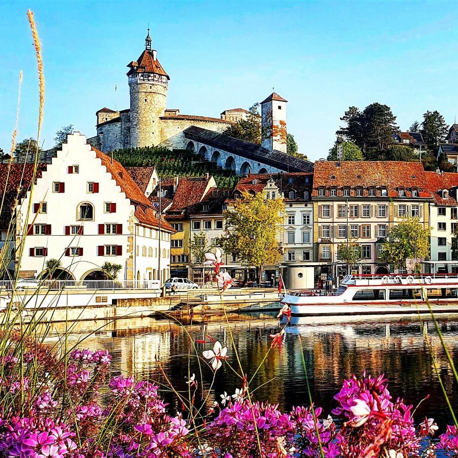 Apartment Suedwind - Beautiful Premium Apartment With 2 Bedrooms Near Rhine Falls & Zurich Airport In Klettgau Weisweil  Екстер'єр фото